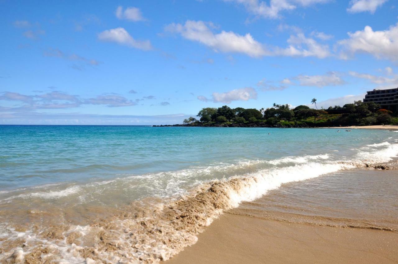 Hébergement de vacances The Great Kona Escape *